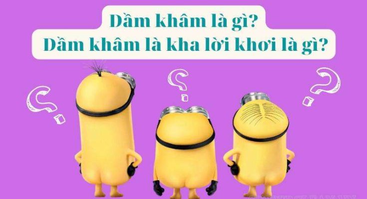 Giải thích ý nghĩa của dầm khâm