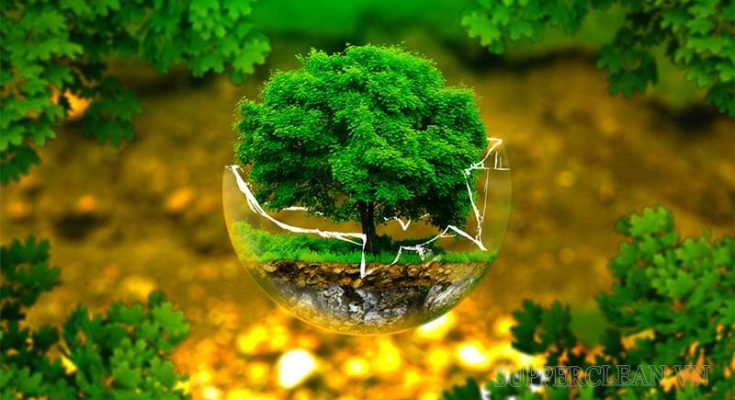 Các cách bảo vệ môi trường và tài nguyên tự nhiên