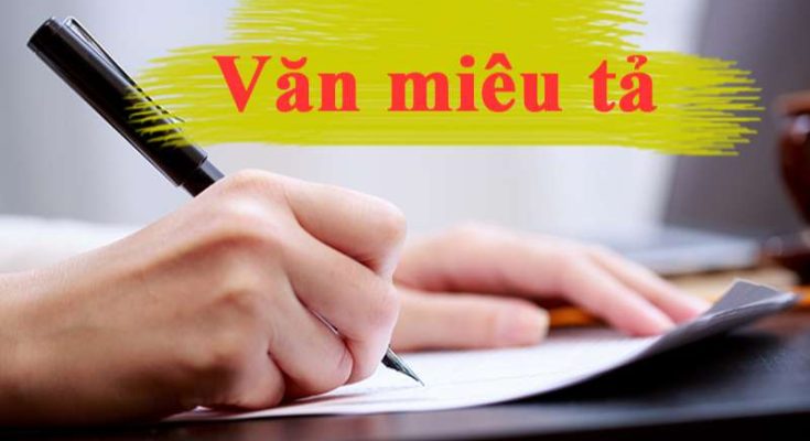 Văn miêu tả là gì