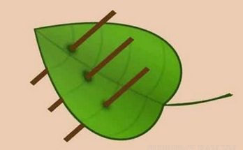 3 que xỏ lá - tên một trò chơi