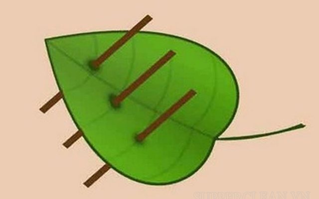 3 que xỏ lá - tên một trò chơi