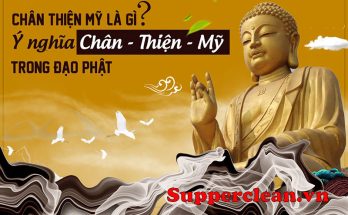 Chân Thiện Mỹ là gì