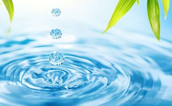 Khái niệm về chất tinh khiết