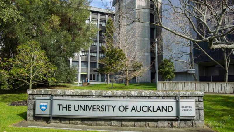 New Zealand là điểm đến học tập, trau dồi kỹ năng được nhiều du học sinh Châu Á lựa chọn