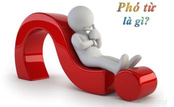 Phó từ - từ đi kèm với động từ, trạng từ và tính từ