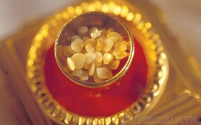 Hạt Xá Lợi là gì?