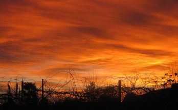 Hình ảnh chạng vạng tối