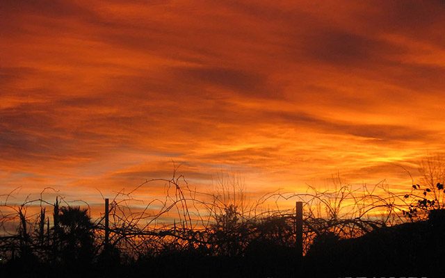 Hình ảnh chạng vạng tối