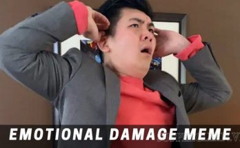 Ý nghĩa meme emotional damage là gì? 