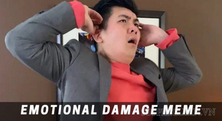Ý nghĩa meme emotional damage là gì? 