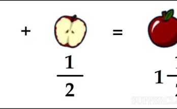 Định nghĩa về hỗn số là gì