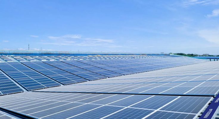 Các tấm pin năng lượng mặt trời