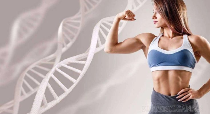 Trao đổi chất là gì? 