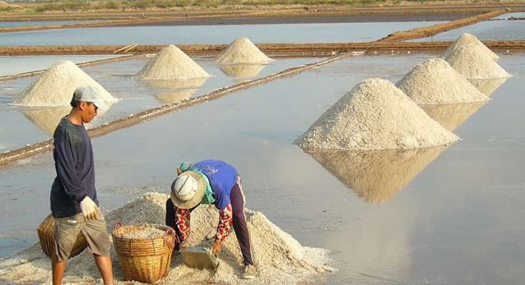 Phương pháp cô cạn là gì? 