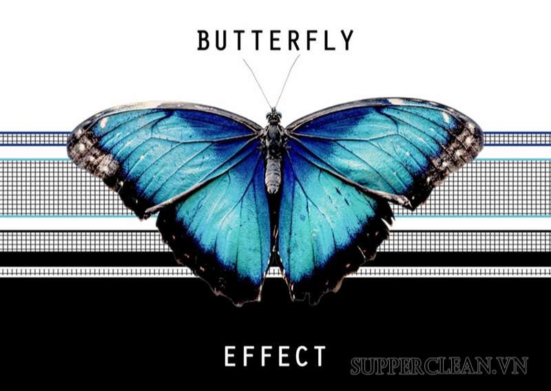 Ý nghĩa của hiệu ứng cánh bướm là gì