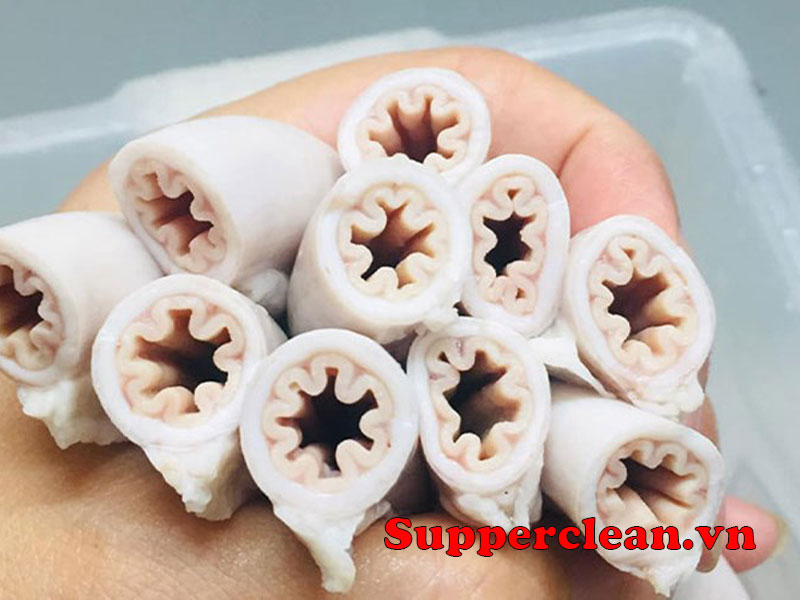 long-se-dieu-la-gi-02