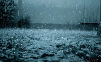 Hình ảnh mưa ngâu