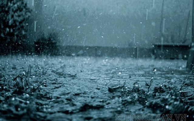 Hình ảnh mưa ngâu