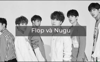Nugu và Flop là hai thuật ngữ mang ý nghĩa khác nhau hoàn toàn