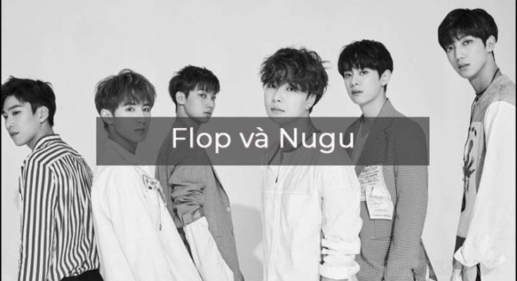 Nugu và Flop là hai thuật ngữ mang ý nghĩa khác nhau hoàn toàn