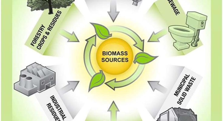 Sinh khối là gì?