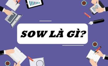 SOW có nghĩa tài liệu tóm tắt toàn bộ công việc thực hiện và các thông tin liên quan về một dự án 