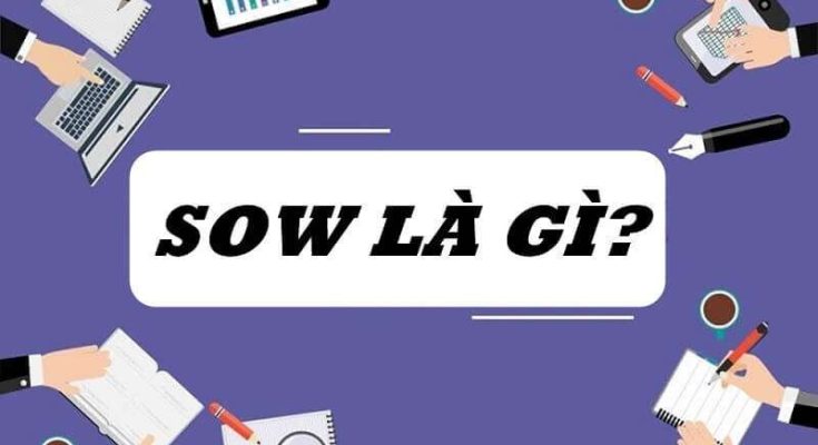 SOW có nghĩa tài liệu tóm tắt toàn bộ công việc thực hiện và các thông tin liên quan về một dự án 