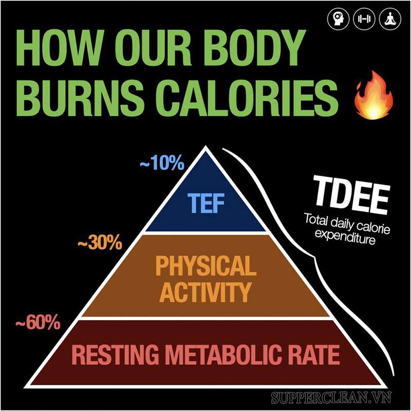 Cách tính chỉ số TDEE cơ thể theo năng lượng tiêu hao