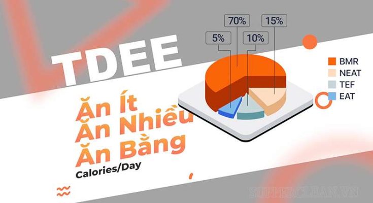 TDEE là tổng mức năng lượng tiêu thụ mỗi ngày
