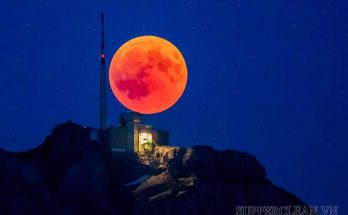 Hình ảnh trăng máu 2022