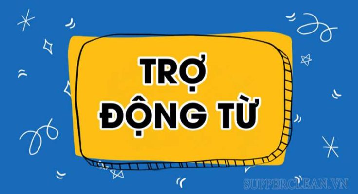 Một số quy tắc khi dùng trợ động từ