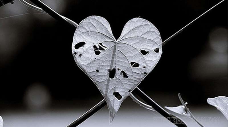 Sự chiếm hữu có thể khiến tình yêu tan vỡ