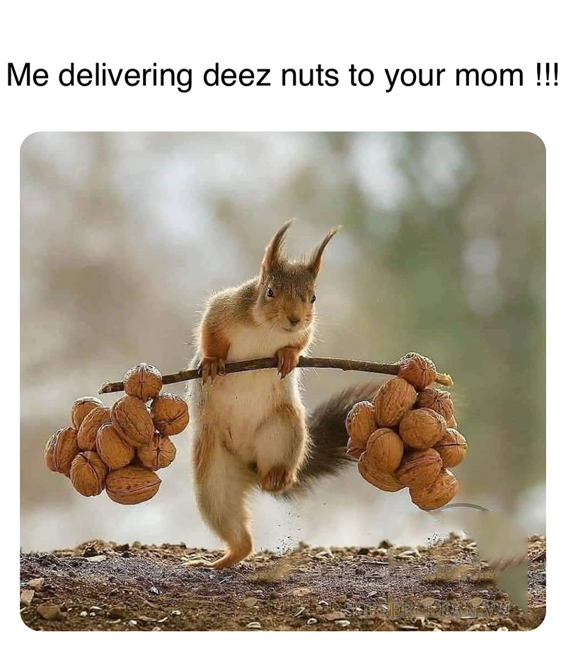 Deez nuts meme