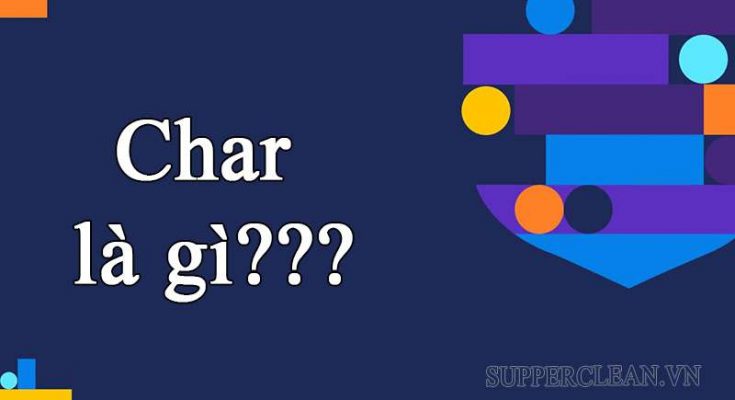 Ý nghĩa của từ “char” trong tiếng Anh