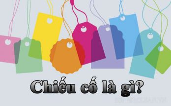 Ý nghĩa của từ “chiếu cố”