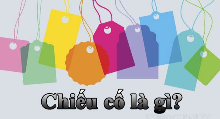 Ý nghĩa của từ “chiếu cố”