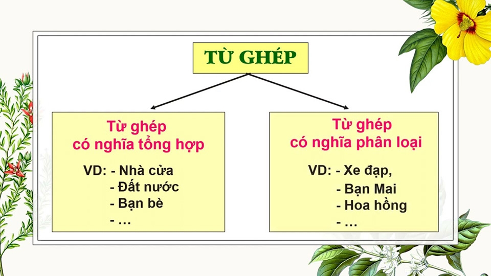 Khái niệm từ ghép trong tiếng Việt