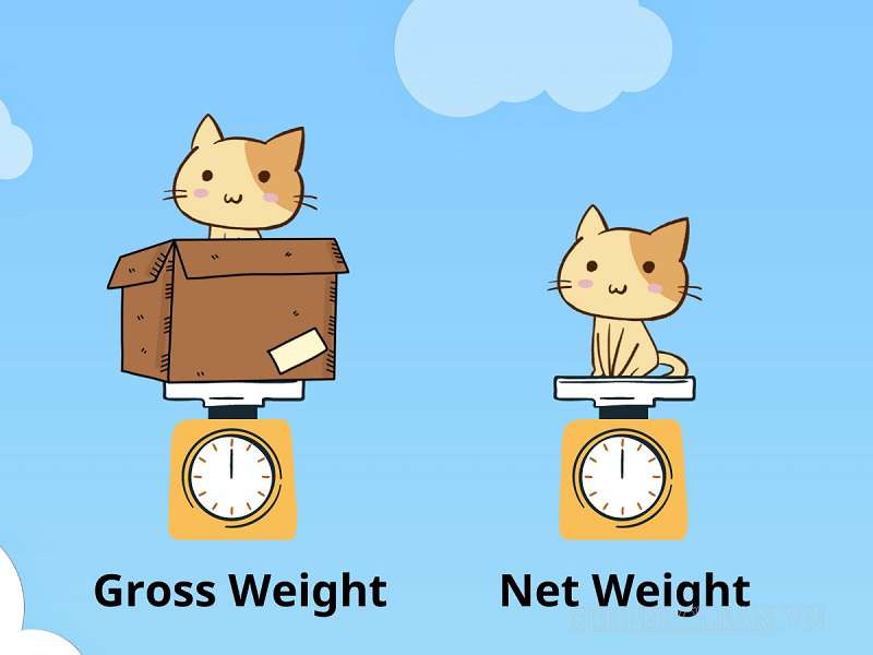 Phân biệt gross weight vs net weight 