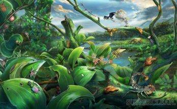 Định nghĩa về quần xã sinh vật