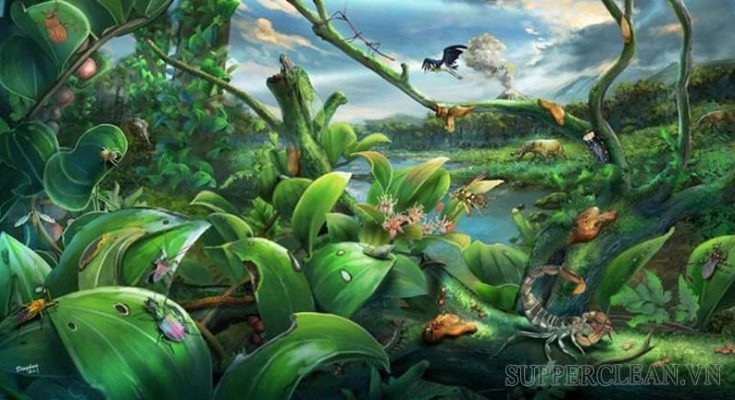 Định nghĩa về quần xã sinh vật