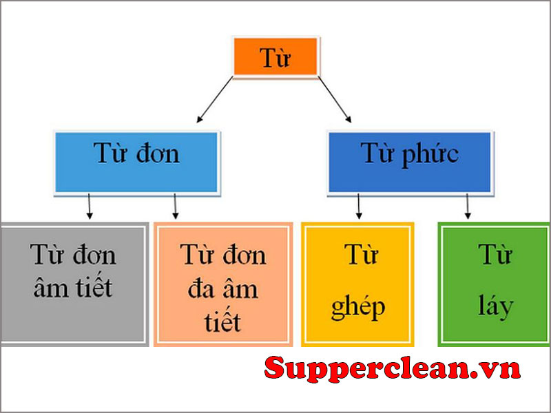 Từ ghép tổng hợp là gì