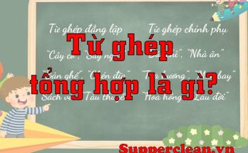 Từ ghép tổng hợp là gì