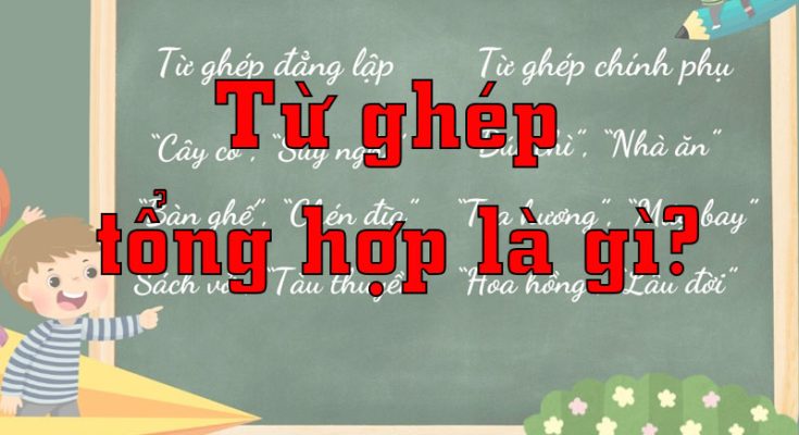Từ ghép tổng hợp là gì