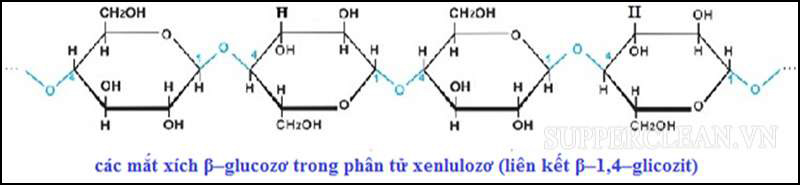 Cấu tạo phân tử của xenlulozo 