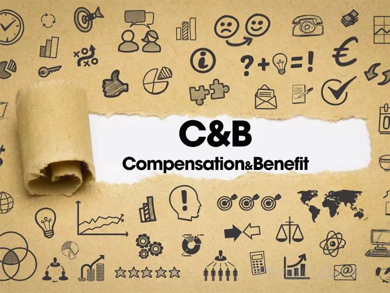 C&B là bộ phận tham gia xây dựng các chính sách về lương thưởng và đãi ngộ cho người lao động trong doanh nghiệp