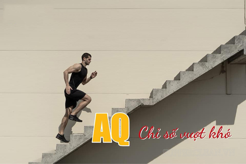 Chi So Aq La Gi