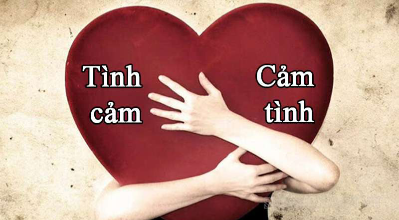 So sánh tình cảm với cảm tình
