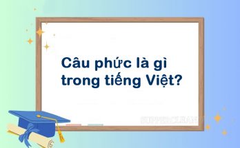 Khái niệm về câu phức trong tiếng Việt