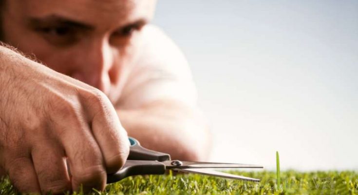 Định nghĩa về cầu toàn