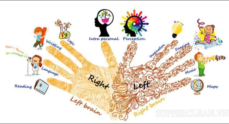 Sinh trắc dấu vân tay tiếng Anh là Dermatoglyphics